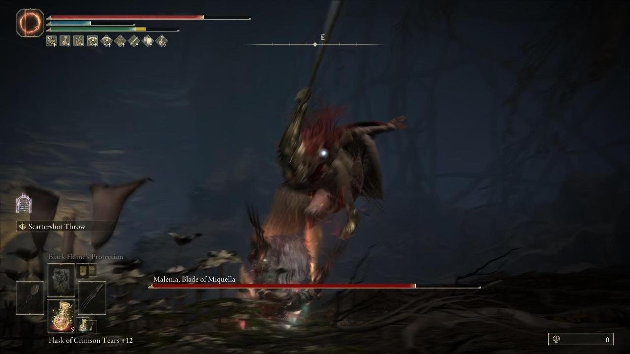 Midnight Malenia Fight