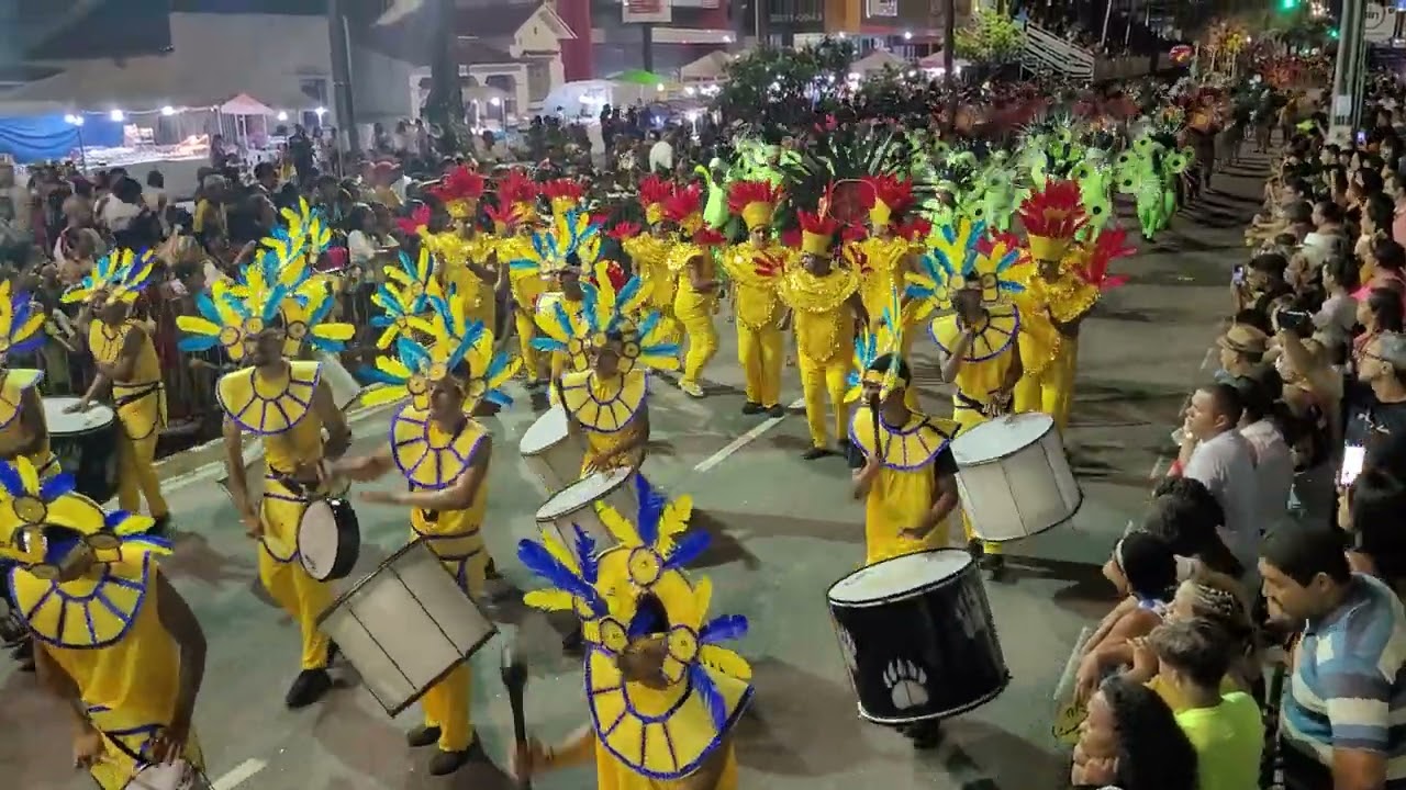 Escola de  Samba Pavão de Ouro desfila no Carnaval Tradição 2023