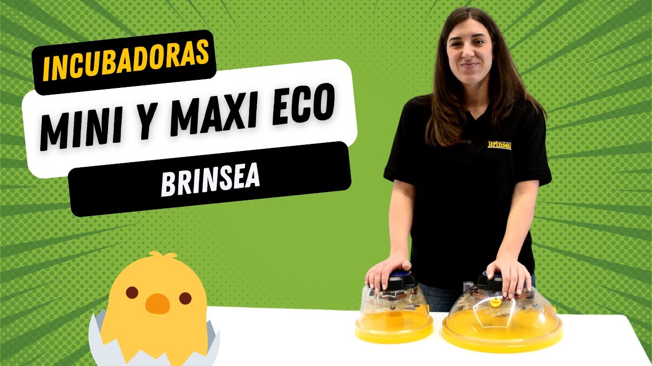 🐣 Manual incubadora MINI y MAXI ECO de BRINSEA