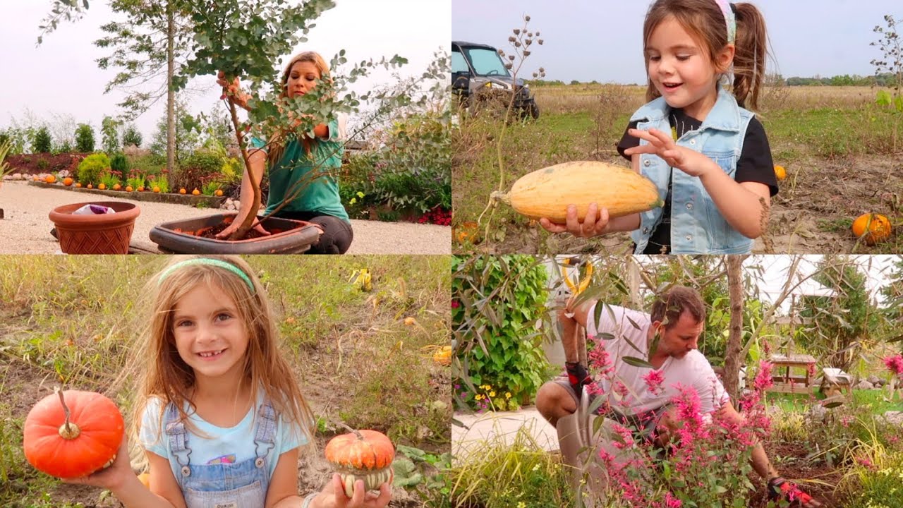 Saving Eucalyptus | Mulching | Greenhouse Plans | Pumpkin Patch with Grandma | Lawrence Garden Farm