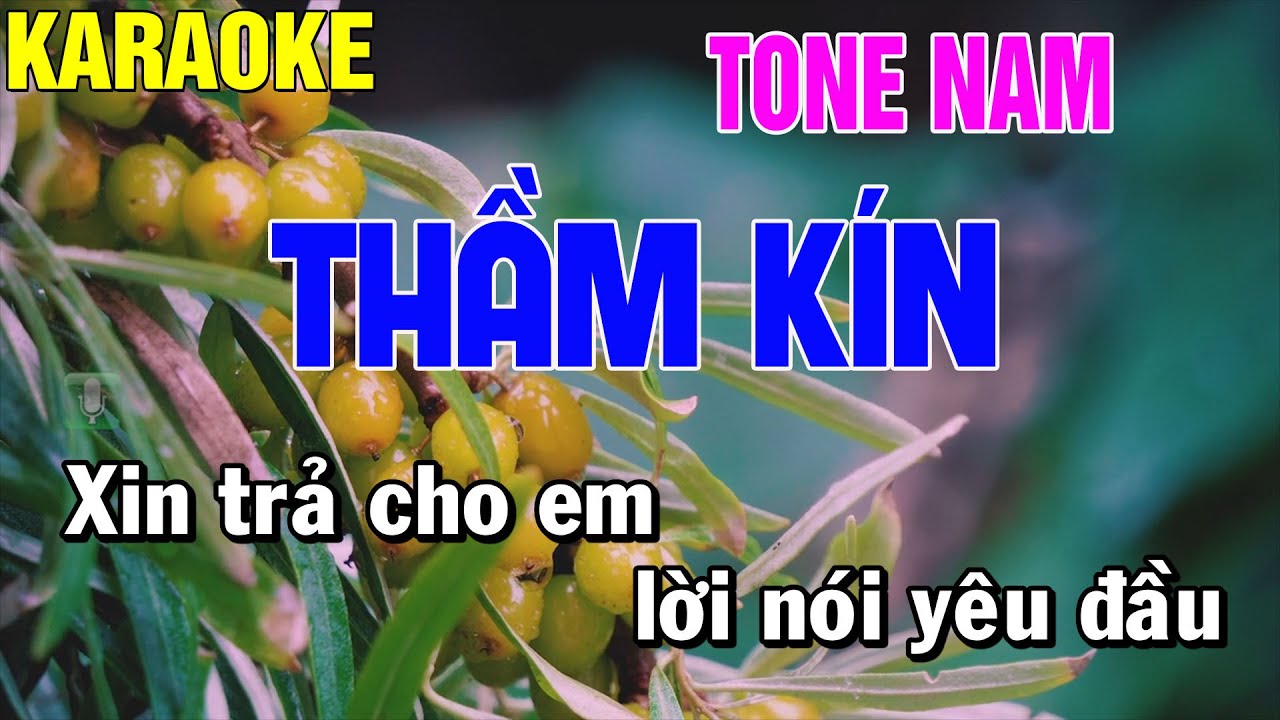 Thầm Kín Karaoke Tone Nam Thái Tài