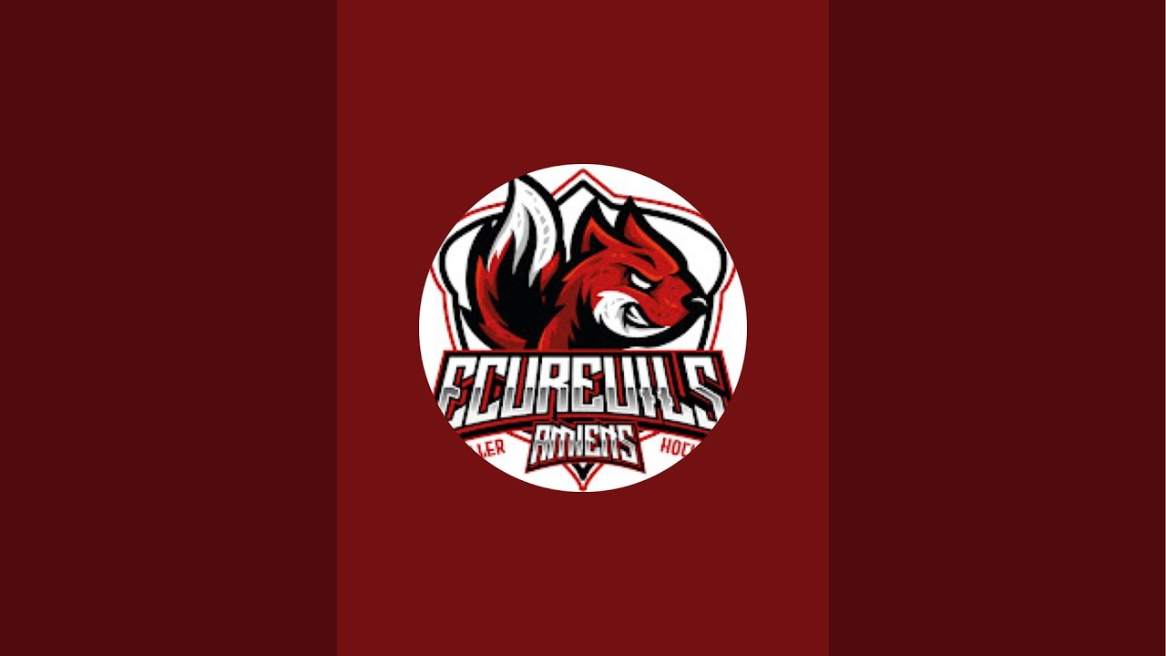 Bourrins - Ecureuils N1 mi-temps 2