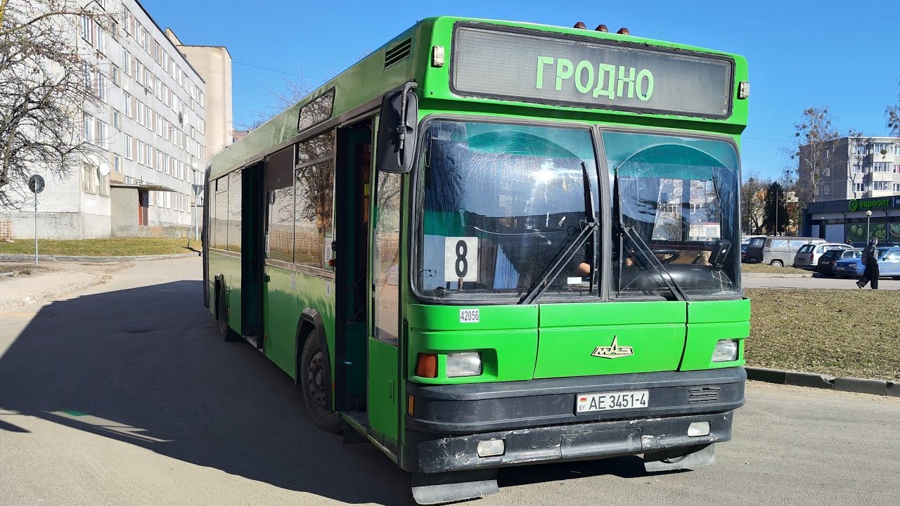 Прекрасный пятничный вечер вместе с фиолет. автобусом МАЗ 103. Дачные красоты в мкрн Барановичи - 7.