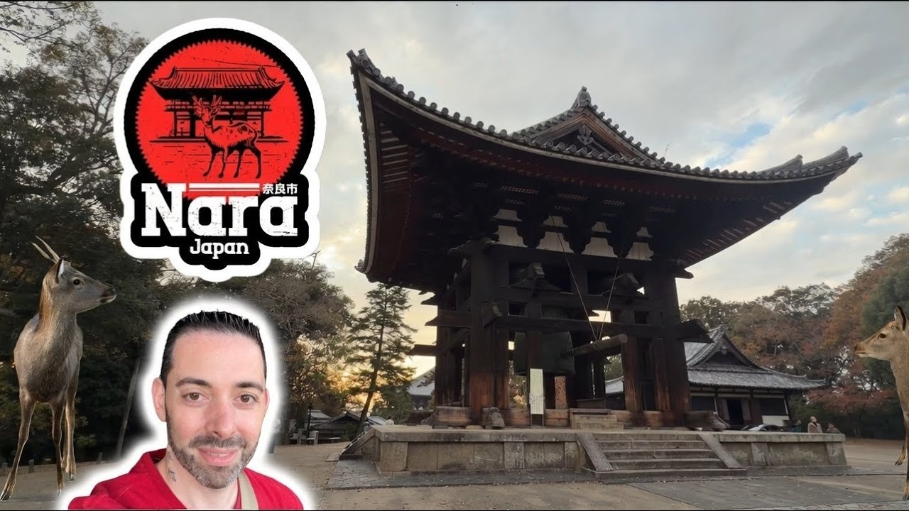 Je Visite Le Parc de Nara au Japon - La Ville des Cerfs, Biches et Daims 🦌