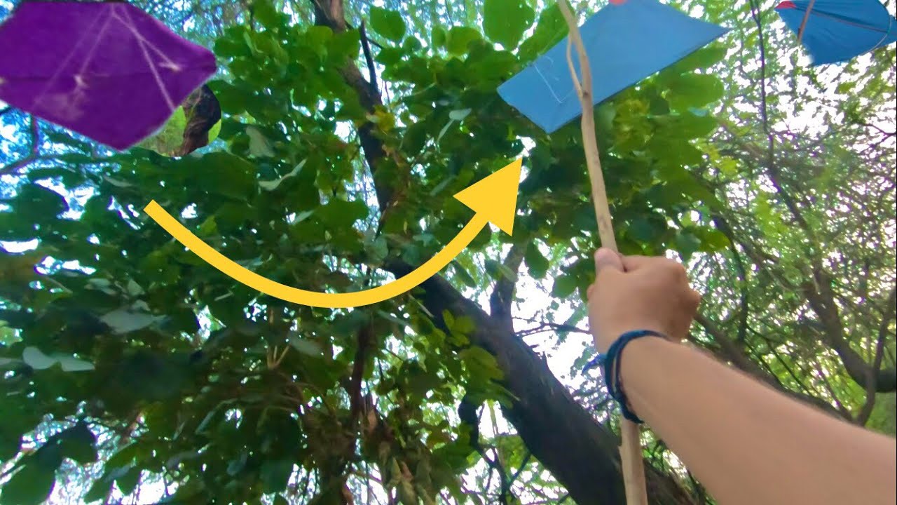 New Trick to caught kite in forest kite flying