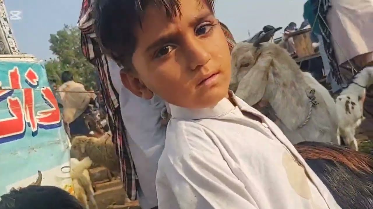 Bakra Mandi 1st Jan 2K26 part 2 