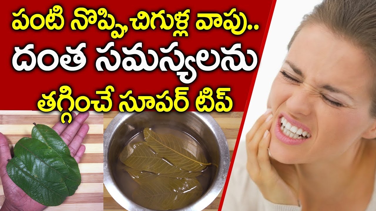 పంటి నొప్పి, చిగుళ్ళ వాపును తగ్గించే సూపర్ టిప్ I Panti Noppi I Teeth Pain I Everything in Telugu