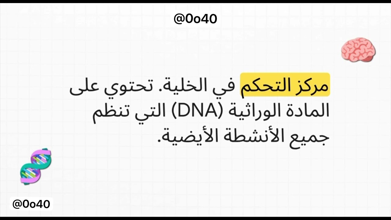 محاضرة الفسلجة النظري الاولى