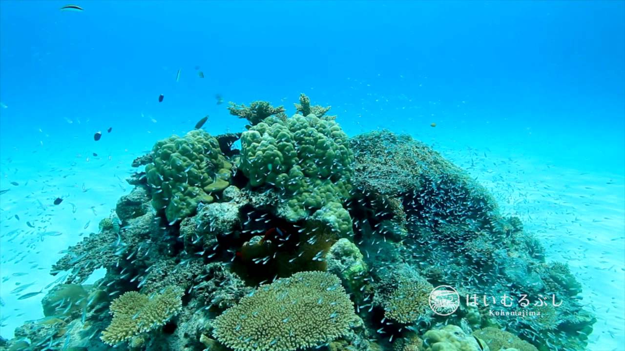 はいむるぶし 2015夏