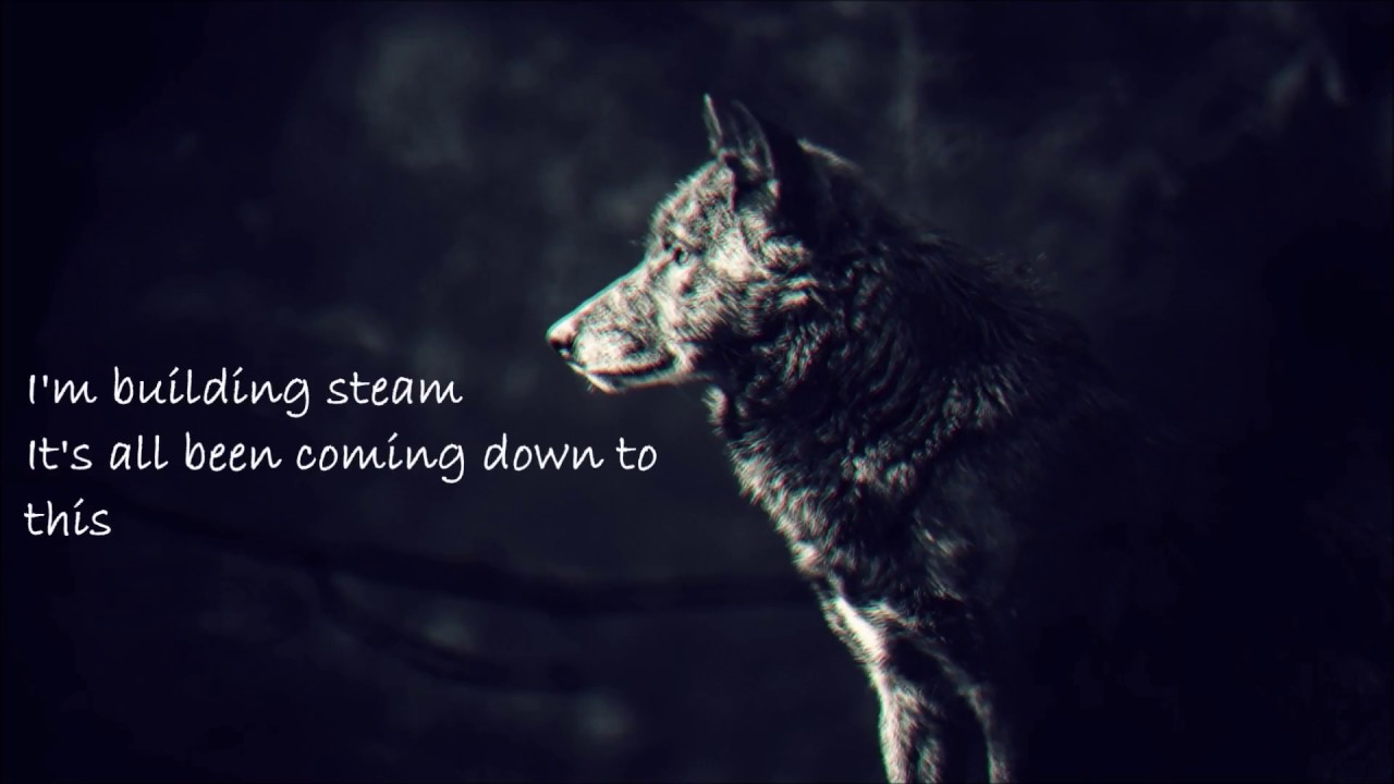 Zayde Wolf - Animal (nightcore)
