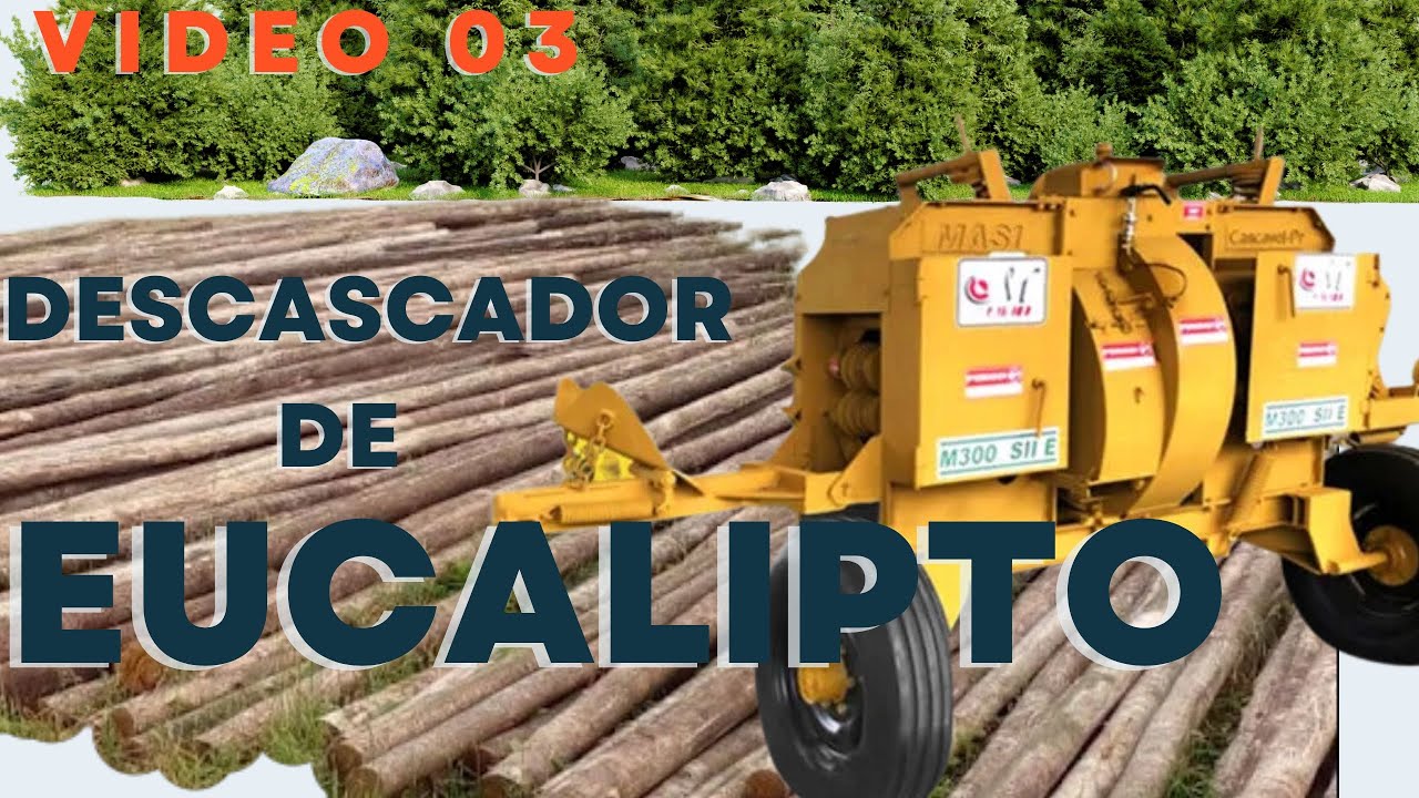 Descascador de Eucalipto