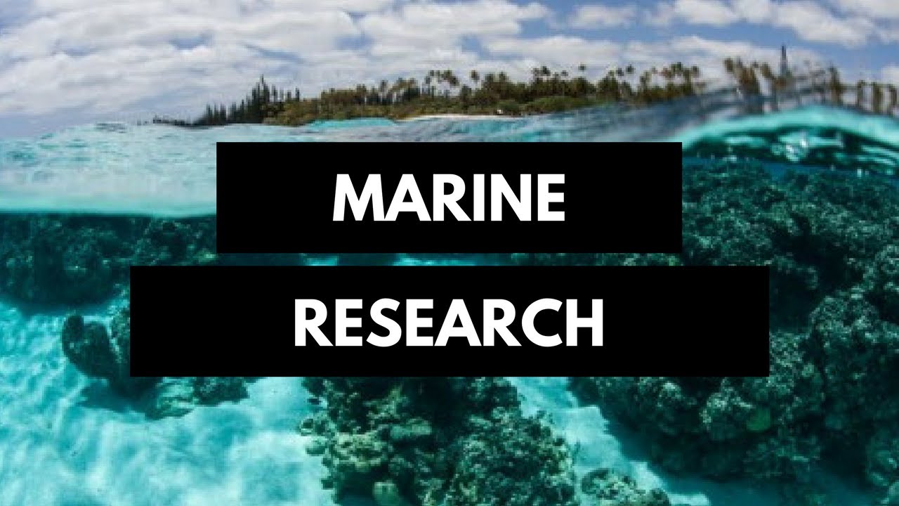 Marine research in the Indian Ocean