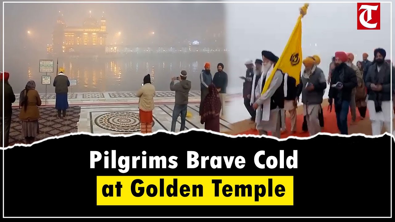 Devotees Brave Dense Fog, Cold to Pray at Golden Temple in Amritsar