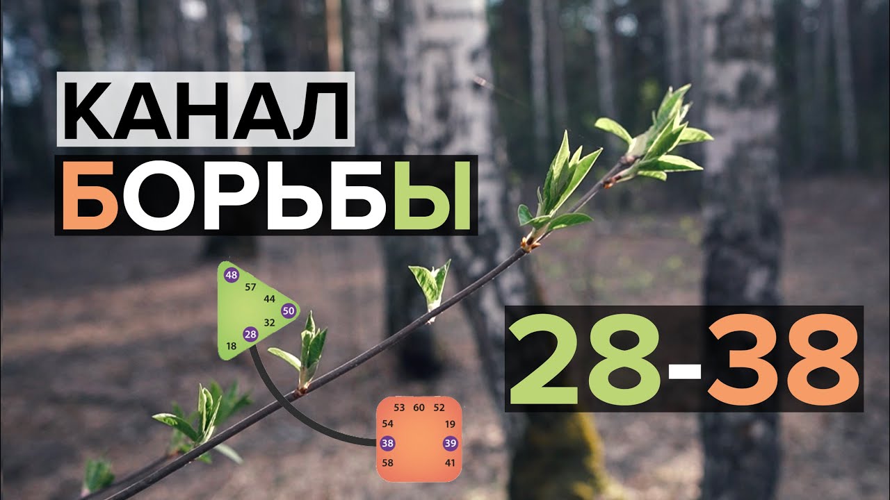 Канал борьбы 28-38 | Дизайн упорства.
