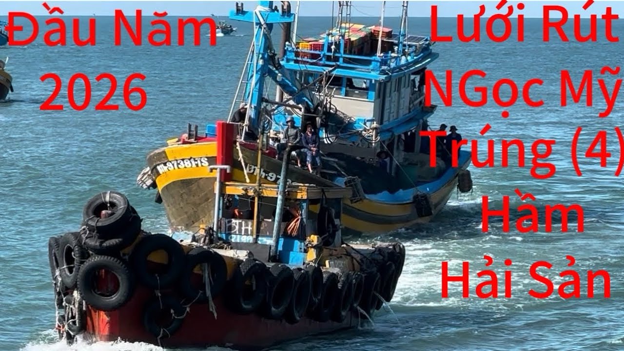 Đầu Năm -2026-Lưới Rút Siêu Phẩm.Ngọc Mỹ.Trúng (4) Hầm Cá Tươi Ngon Hàng Chục Tấn Vô Cảng LaGi 