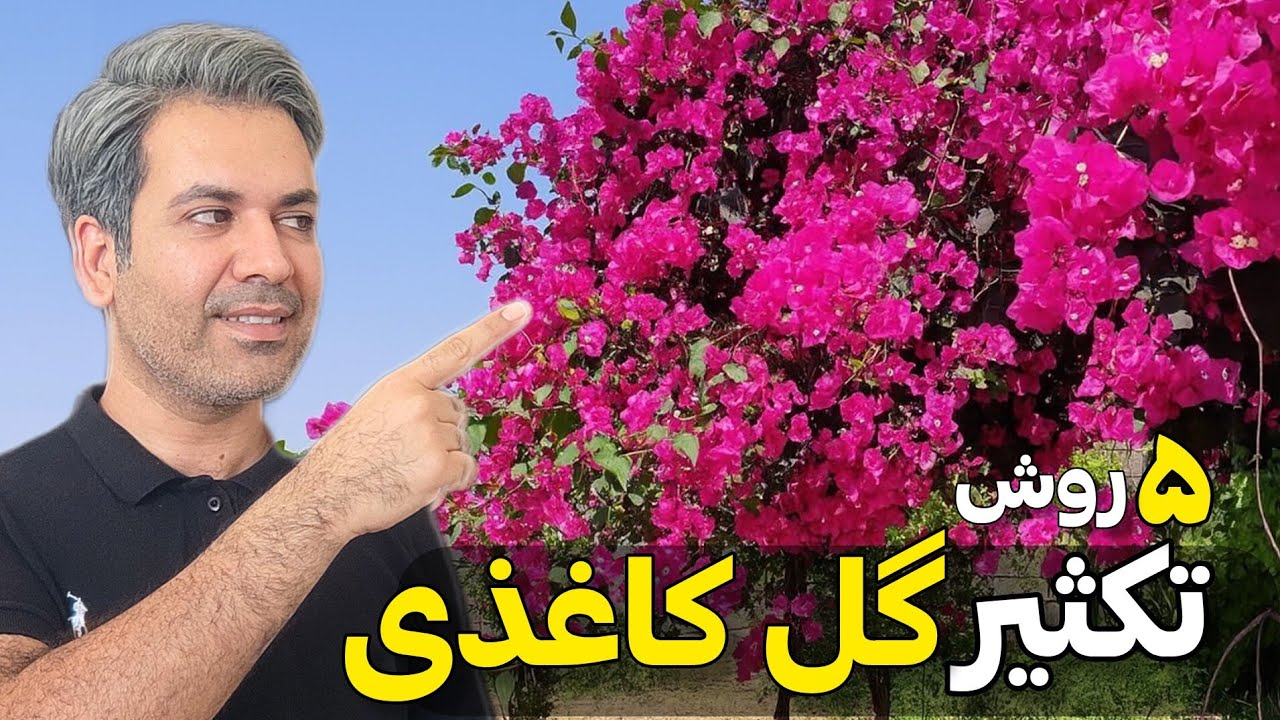 قلمه گل کاغذی مثل آب خوردن!