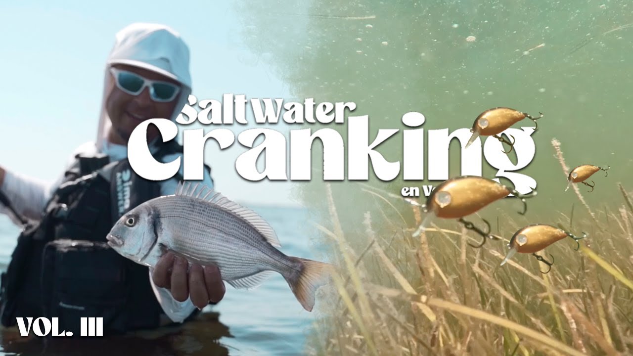 PESCANDO en ZONAS de ALGAS - GUIA SALTWATER CRANKING en VERANO | VOL. 3
