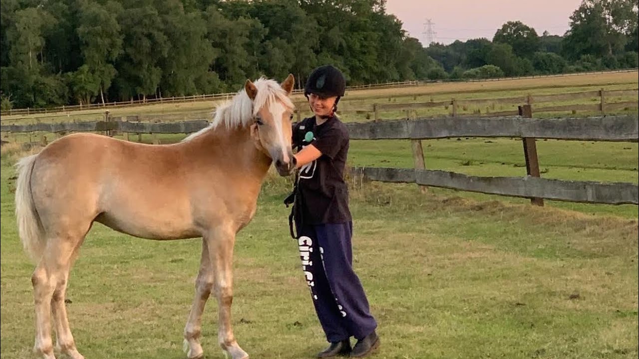 Sommer 2023 || Pony Park Padenstedt