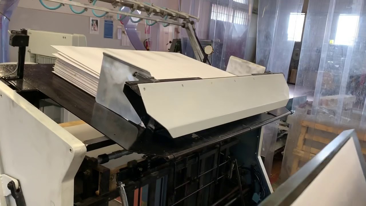 Rabolini with auto feeder