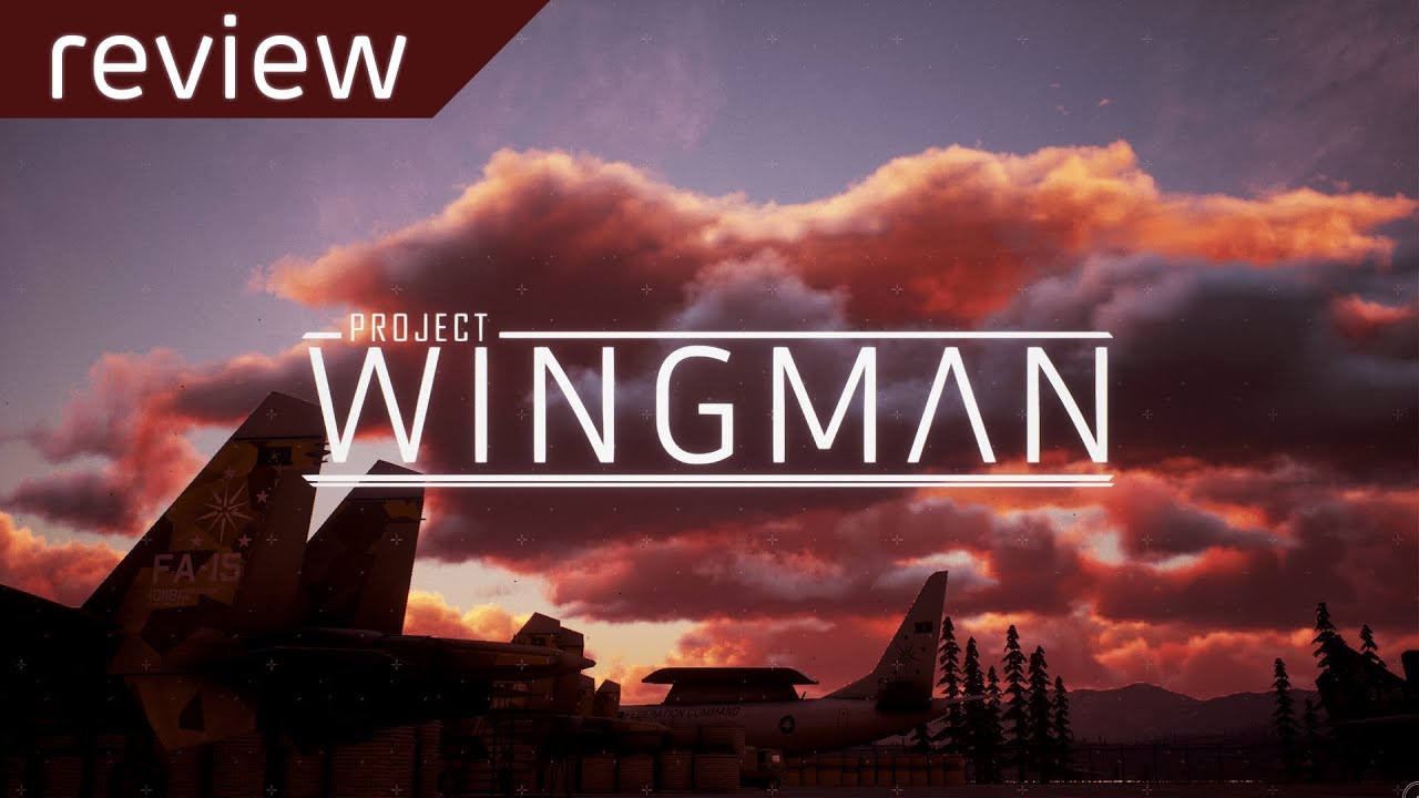 An Objectively Correct Review of Project Wingman