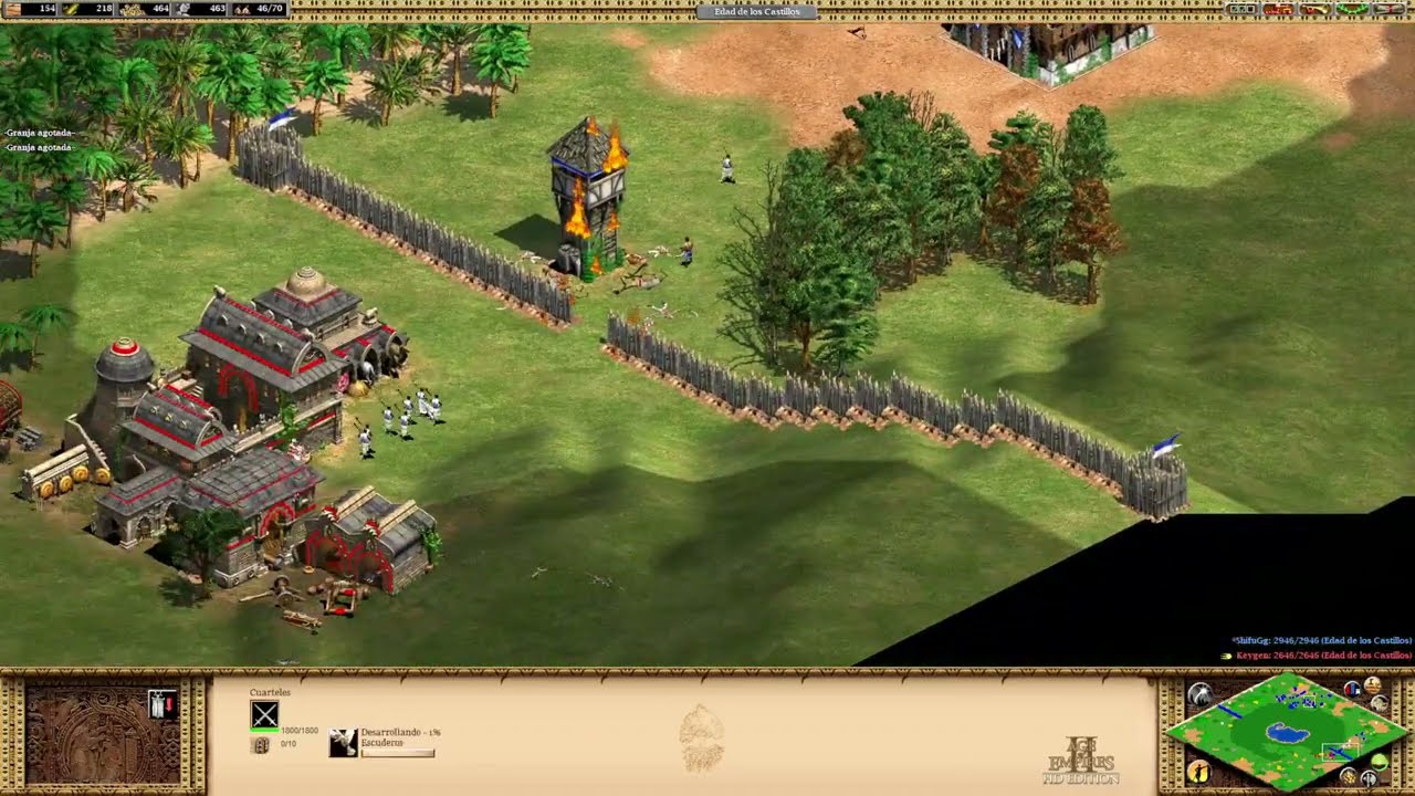 1 vs 1 Age of empire II HD edition Online