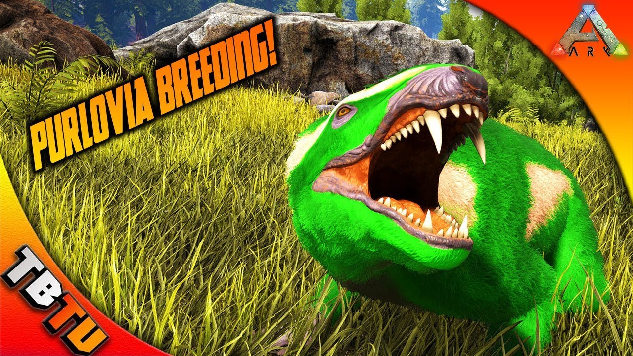 PURLOVIA MASS BREEDING AND MUTATIONS! PURLOVIA COLOR MUTATIONS! Ark Survival Breeding Evolved