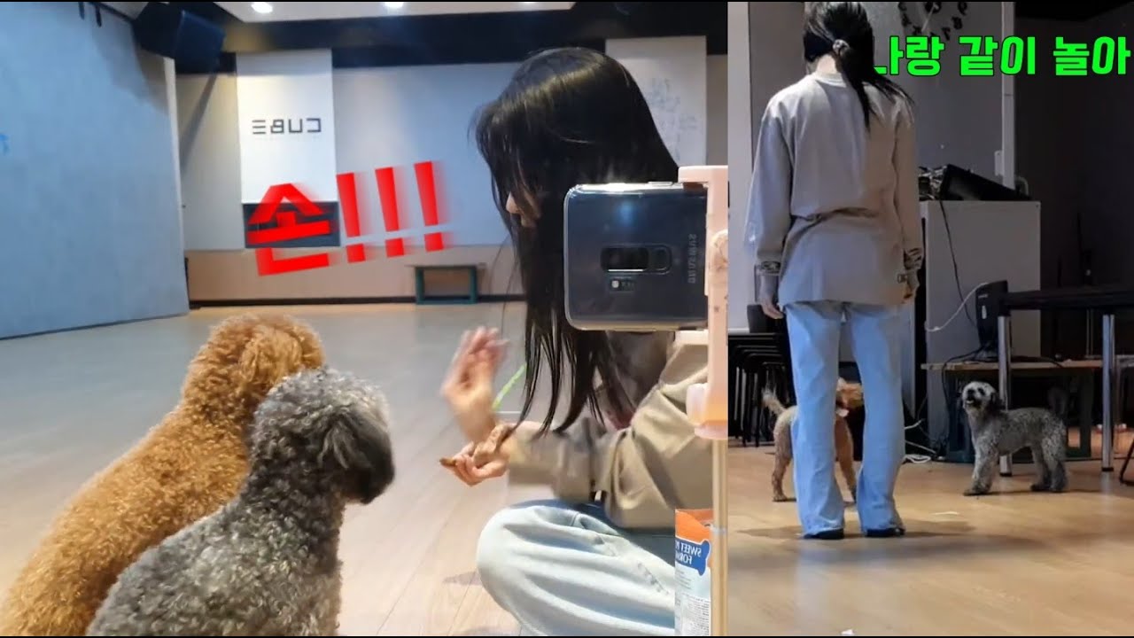 아이들 서열 꼴찌