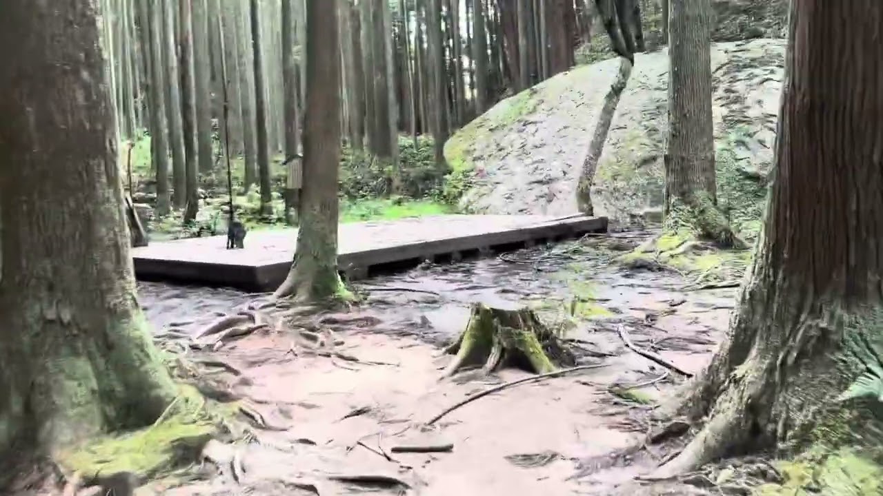 鬼滅の刃、一刀石、柳生