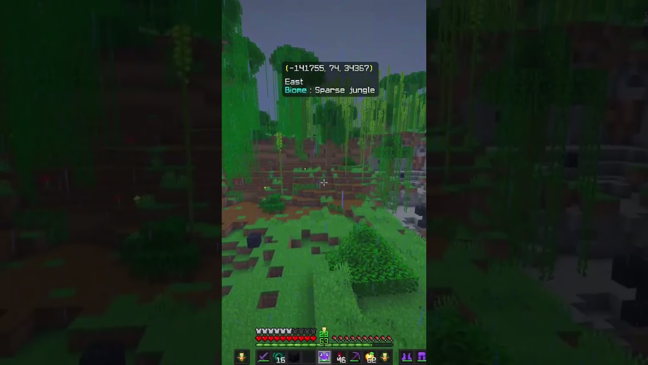 I hid some OP loot on the Donut Smp