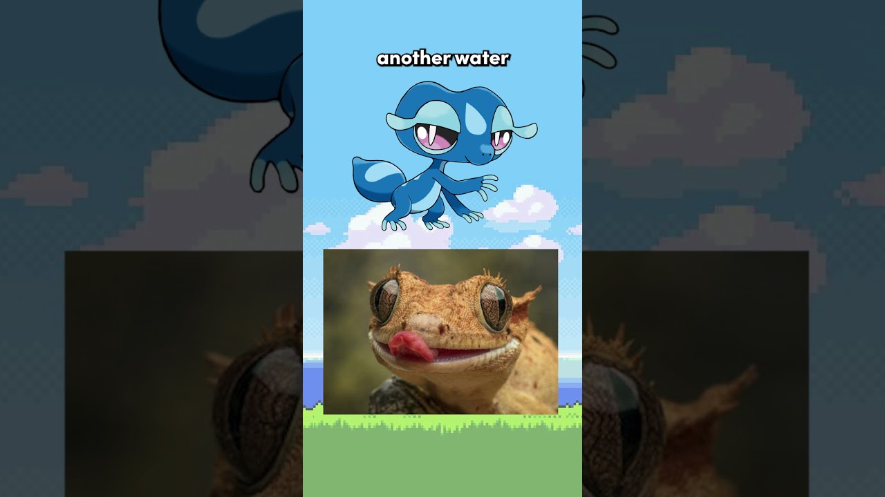 What are the Pok&eacute;mon Gen 10 Starters Based On?