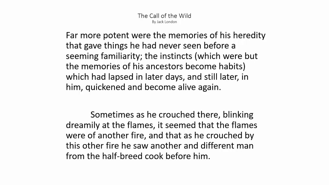 The Call of the Wild Chapter 4