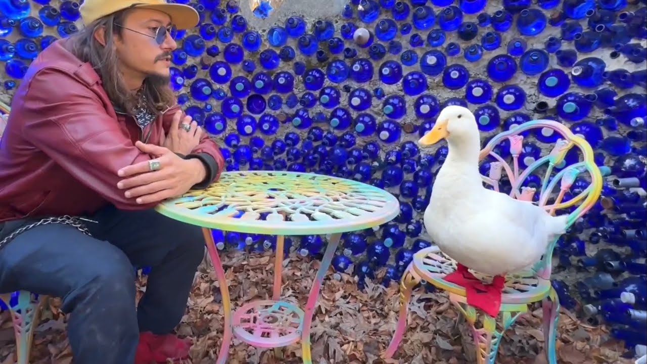 I took my duck to an Art House (luna parc)