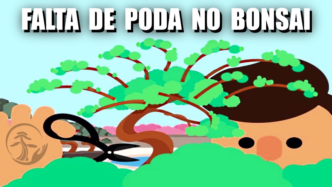 O que acontece se não podar o bonsai? Transplante e como aplicar o Musgo
