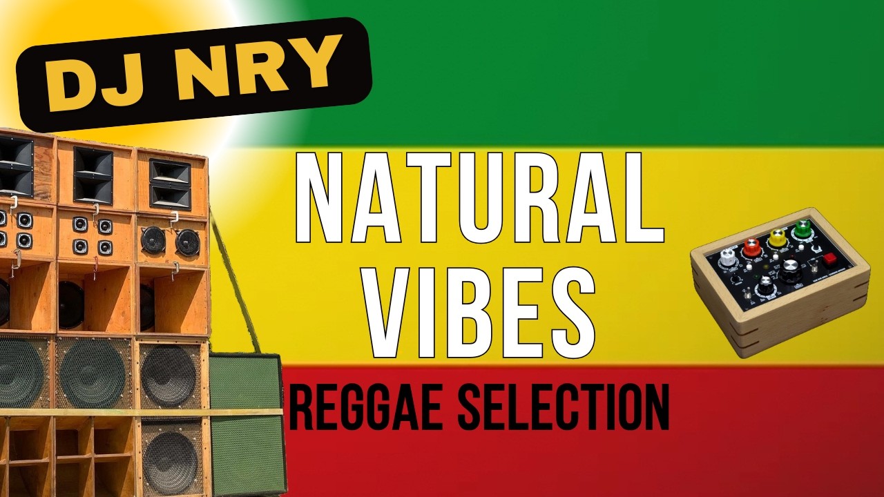 CONSCIOUS REGGAE - REAL MIX by DJ NrY Irie