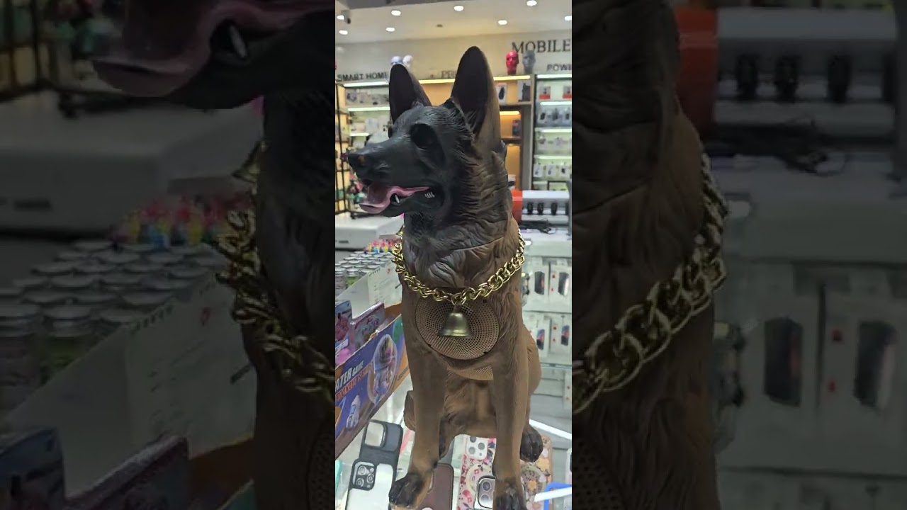 Шамшабад В Дели 🙏🙏🙏