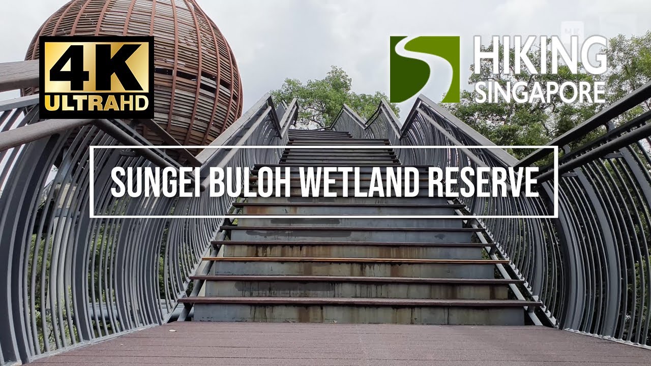 Sungei Buloh Wetland Reserve - Hiking Singapore [4K] [HDR]