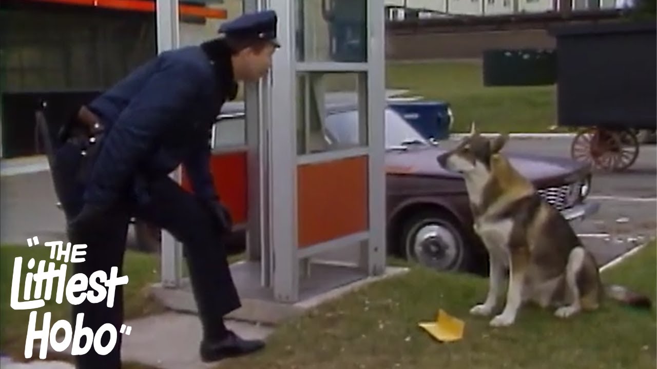 Here's Joey Jackson | The Littlest Hobo | Season 2 | Episode 17