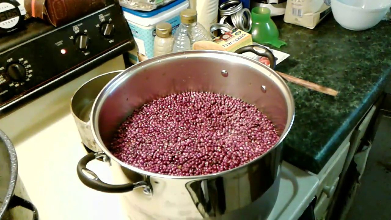 Turning Beauty Berries into Juice or Infusion