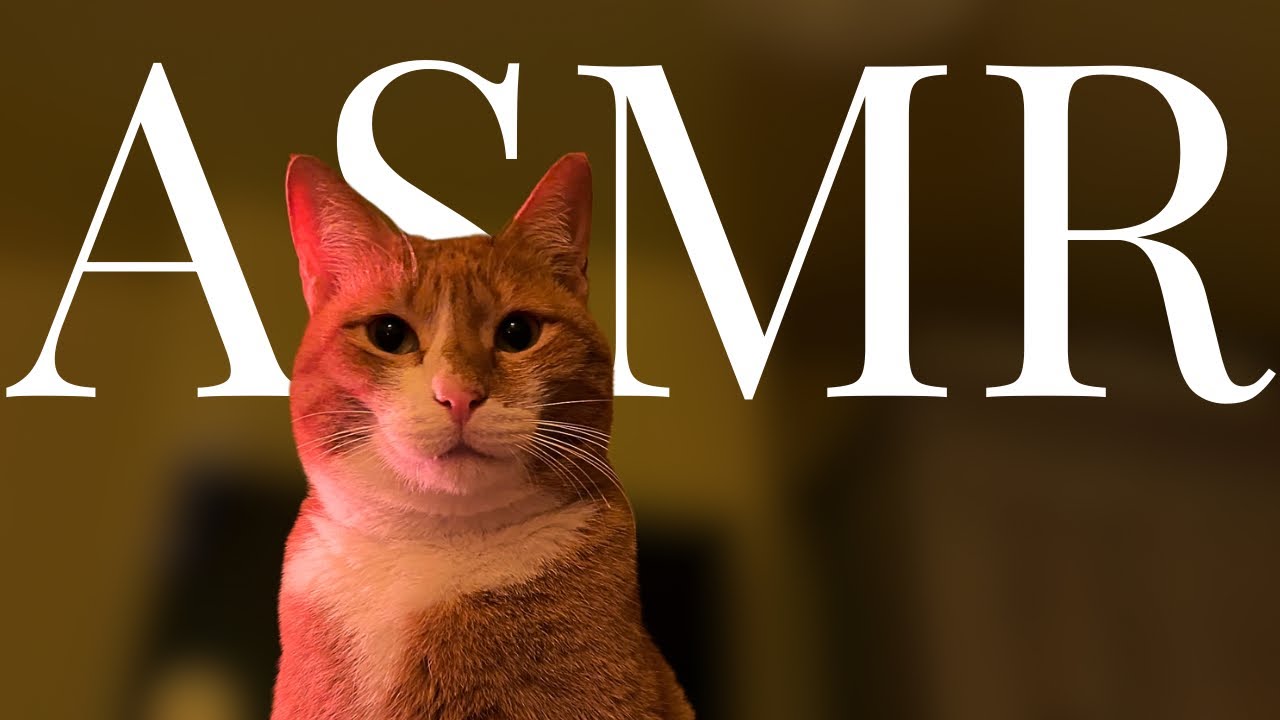 ASMR Tracing Goldie’s Face 