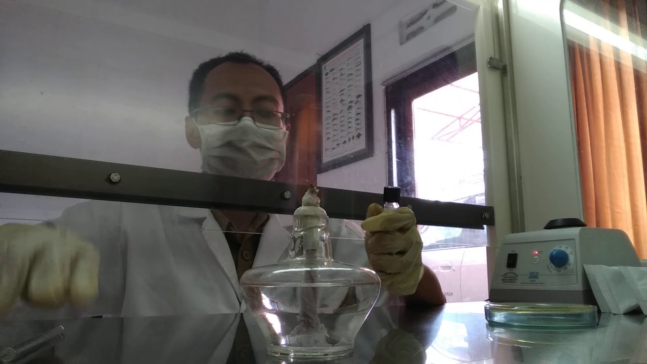 Identifikasi bakteri menggunakan db bbl crystal gram negatif #eps3