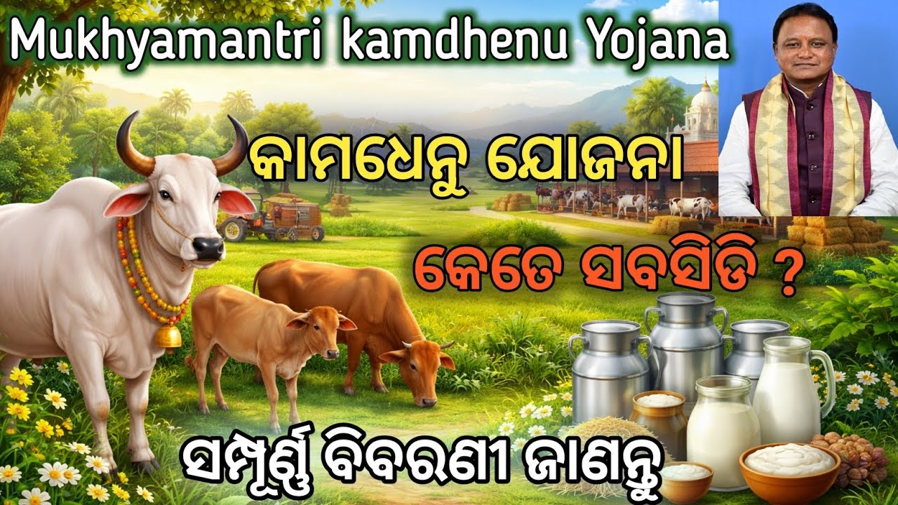 Mukhyamantri kamdhenu yojana odisha |  kamdhenu scheme guidelines, eligibility criteria & documents