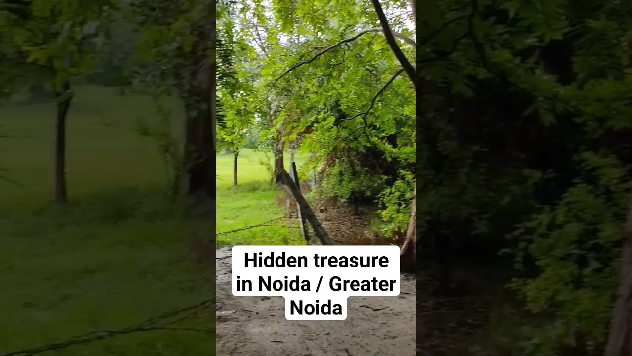 Hidden treasure in Noida / Greater Noida | A perfect place to hangout during a rainy day