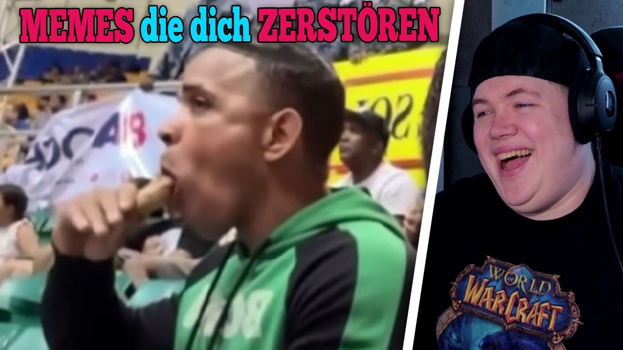 you laugh, you don't win - MEMES die dich ZERSTÖREN | REAKTION