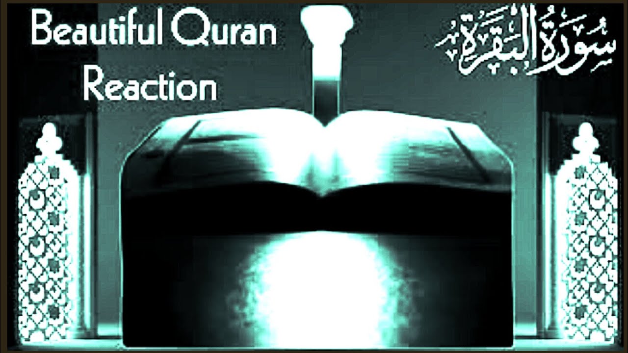 Surah Baqarah (Beautiful Recitation/Reading) By Sheikh Mishary Afasy With Arabic  سورة البقره Ep051
