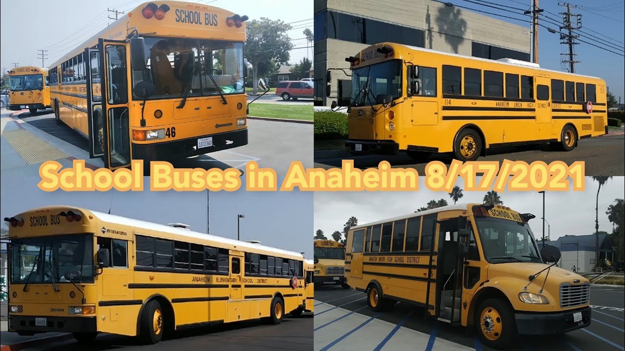 School Buses in Anaheim - 8/17/2021