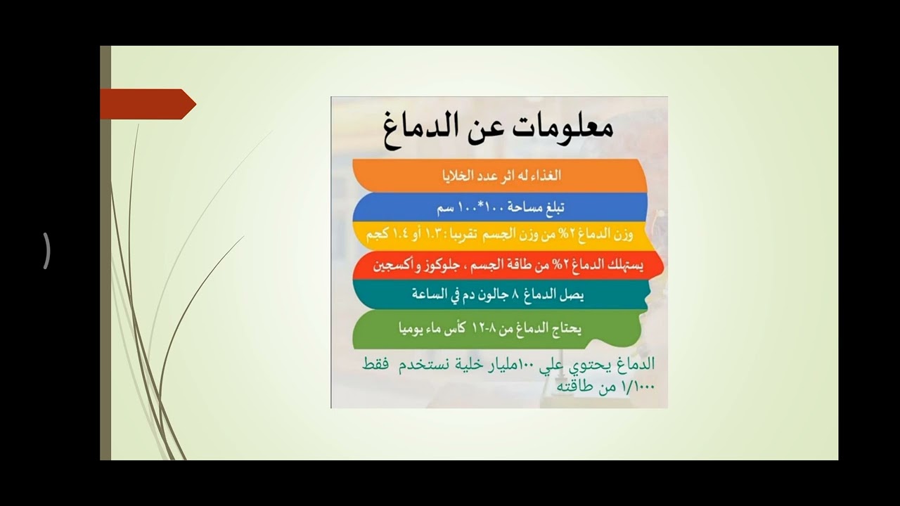 الفيديو الثاني - العقل الواعي واللاواعي