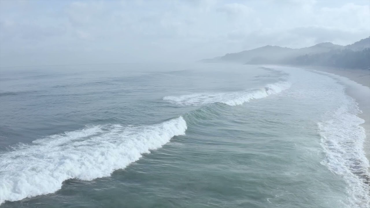 Surf
