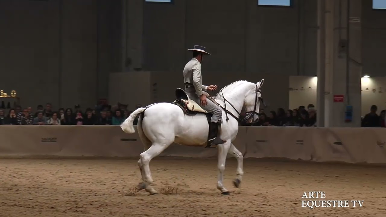 ARTE EQUESTRE TV - GIL ORTIZ SEBASTIAN - DOMATI - COPPA DEI MAESTRI - FIERACAVALLI 2025