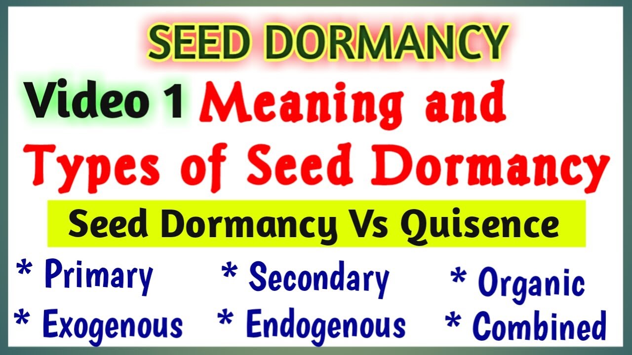 Types of Seed Dormancy || Seed Dormancy Meaning and types || Dormancy Vs Quisence || Dormancy Types