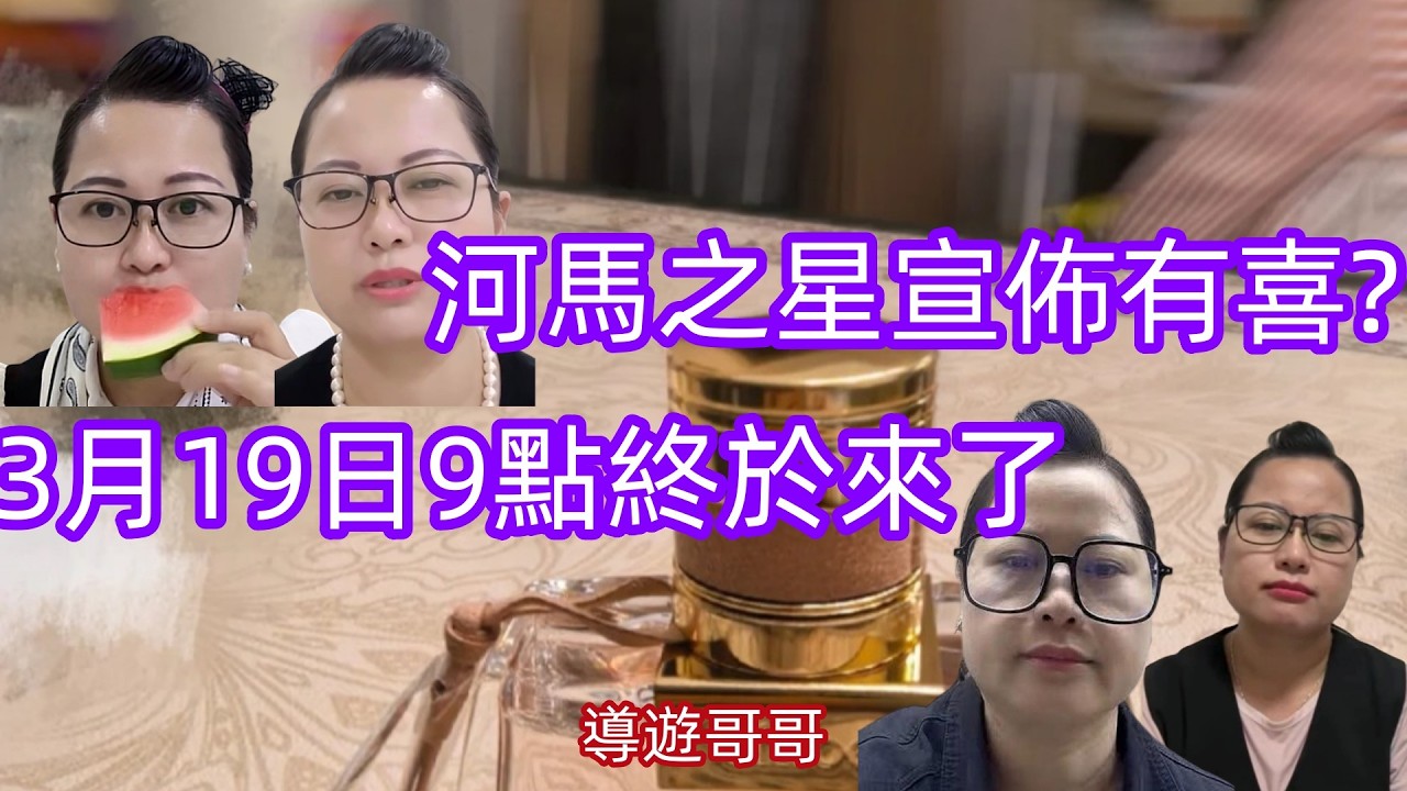 2026.3.19 河馬之星宣佈有喜?3月19日9點終於來了#香港01 #星島娛樂 #am娛樂